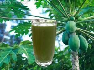 papaya-leaf_juice